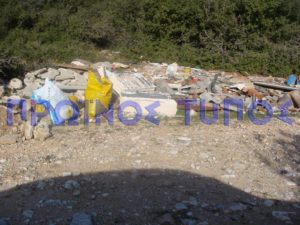 skoypiia dasos kallifytoy 04
